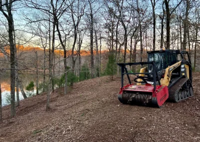 Forestry Mulching North Mississippi